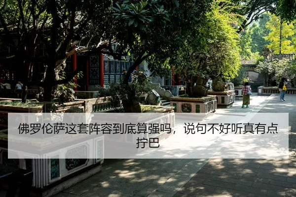 fo-luo-lun-sa-zhe-tao-zhen-rong-dao-di-suan-qiang-ma-shuo-ju-bu-hao-ting-zhen-you-dian-ning-ba-1-933.jpg