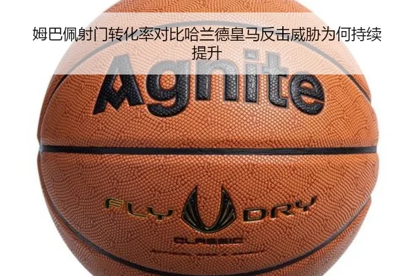 img_1783703813378_4625_1_927.jpg